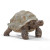 Schleich Giant Tortoise(14824)