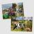 Tractor Ted I Spy On The Farm Book