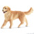 Schleich Golden Retriever, Female (16395)