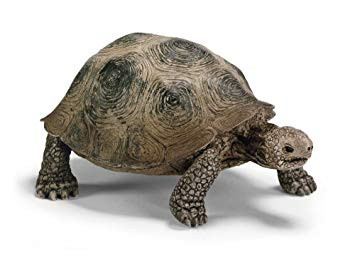 Schleich Giant Tortoise (14601)
