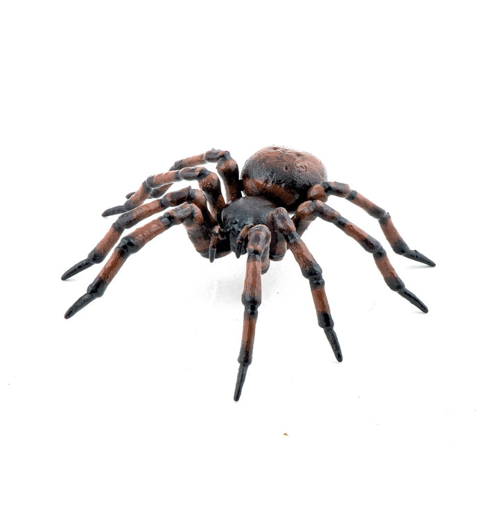 Papo Common Spider (50292)