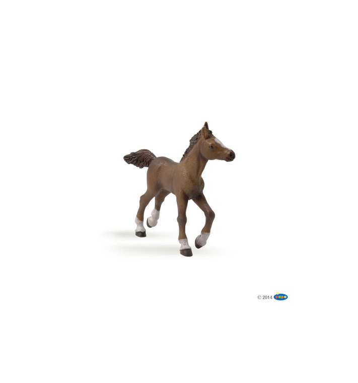 Papo Anglo-Arab Foal (51076)