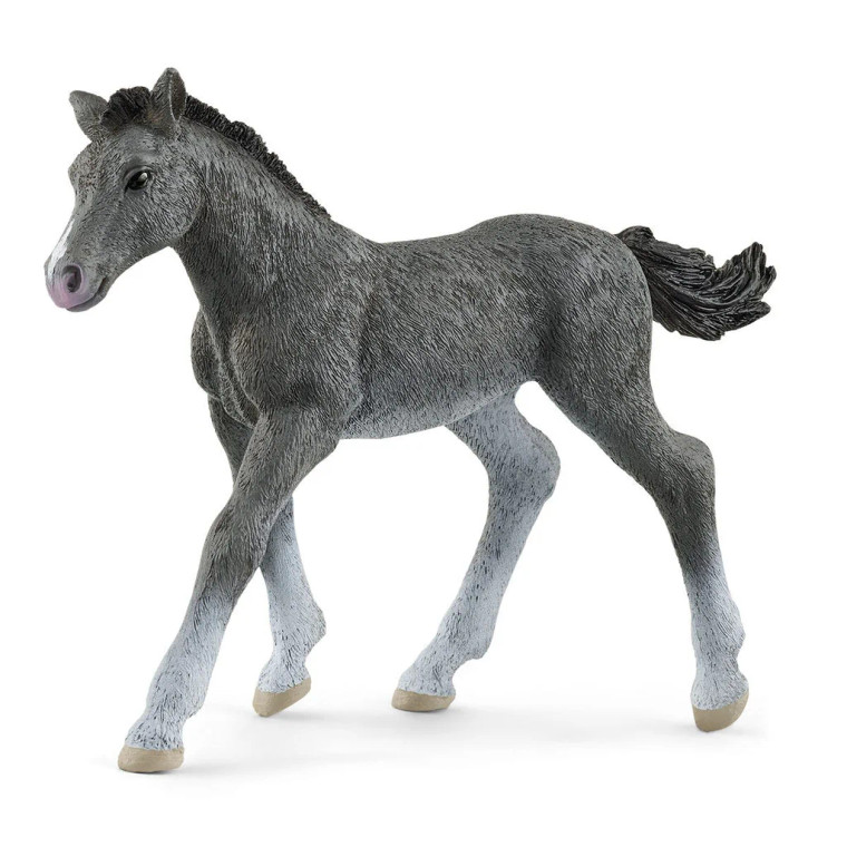 Schleich Trakehner Foal (13944)