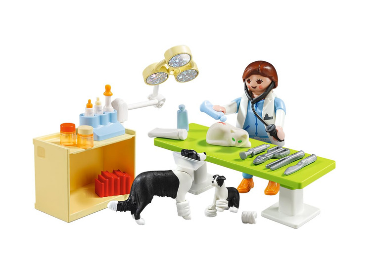 Playmobil Vet Visit Carry Case (5653)