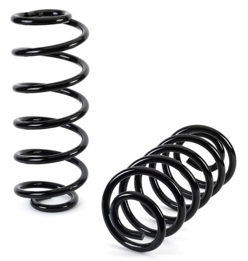 Arnott Industries Air Spring to Coil Spring Conversion Kit P/N:C-3416