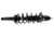 KYB Strut and Coil Spring Assembly P/N:SR4504