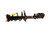 KYB Strut and Coil Spring Assembly P/N:SR4261