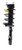 KYB Strut and Coil Spring Assembly P/N:SR4600