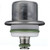 Delphi Fuel Pressure Regulator P/N:FP10372