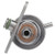 Delphi Fuel Pressure Regulator P/N:FP10481