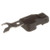 Delphi Camshaft Position Sensor P/N:SS11973
