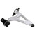 Delphi Control Arm and Ball Joint Assy P/N:TC7748