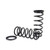 Arnott Industries Air Spring to Coil Spring Conversion Kit P/N:C-2410