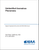 UNIDENTIFIED ANOMALOUS PHENOMENA. PAPERS PRESENTED AT THE AIAA AVIATION 2026 FORUM