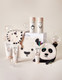BABY & KIDS ESSENTIALS SET_2