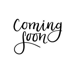 Becker Vacuum Pump VT 4.25 H3 Type FDP 90S-70/4 Becker Vacuum Pump VT 4.25 H3 Type FDP 90S-70/4