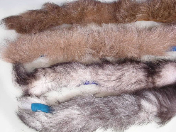 100 REAL FOX & RACCOON FUR COLLARS, SOFT Sewn on 31" fabric strips w/buttons NEW