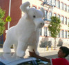 American Made Giant Stuffed White Buffalo 44 Inch Sacred Native American Indian Plush Animal Almost 4 Feet Wide and 3 Feet Tall Huge Stuffed Animal