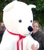 American Made Giant White Teddy Bear 6 Feet Tall Soft Plush Huge Stuffed Animal Made in the USA America