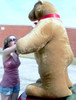 American Made Giant Brown Bear 60 Inches Soft Big Plush Bear Made in USA