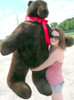 American Made Giant Stuffed Brown Bear 5 Feet Tall 3 Feet Wide Soft Made in USA
