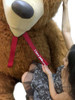 Personalized American Made 9 Foot Soft Giant Teddy Bear 108 Inches Honey Brown Long Fur Made in USA, Your Message Custom Printed on Neck-Ribbon Bow
