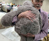 Big Stuffed Sloth with Small Head and Large Body 28 inches Soft 71 cm Big Plush Jumbo Stuffed Animal In Big Box Fully Stuffed and Ready to Hug