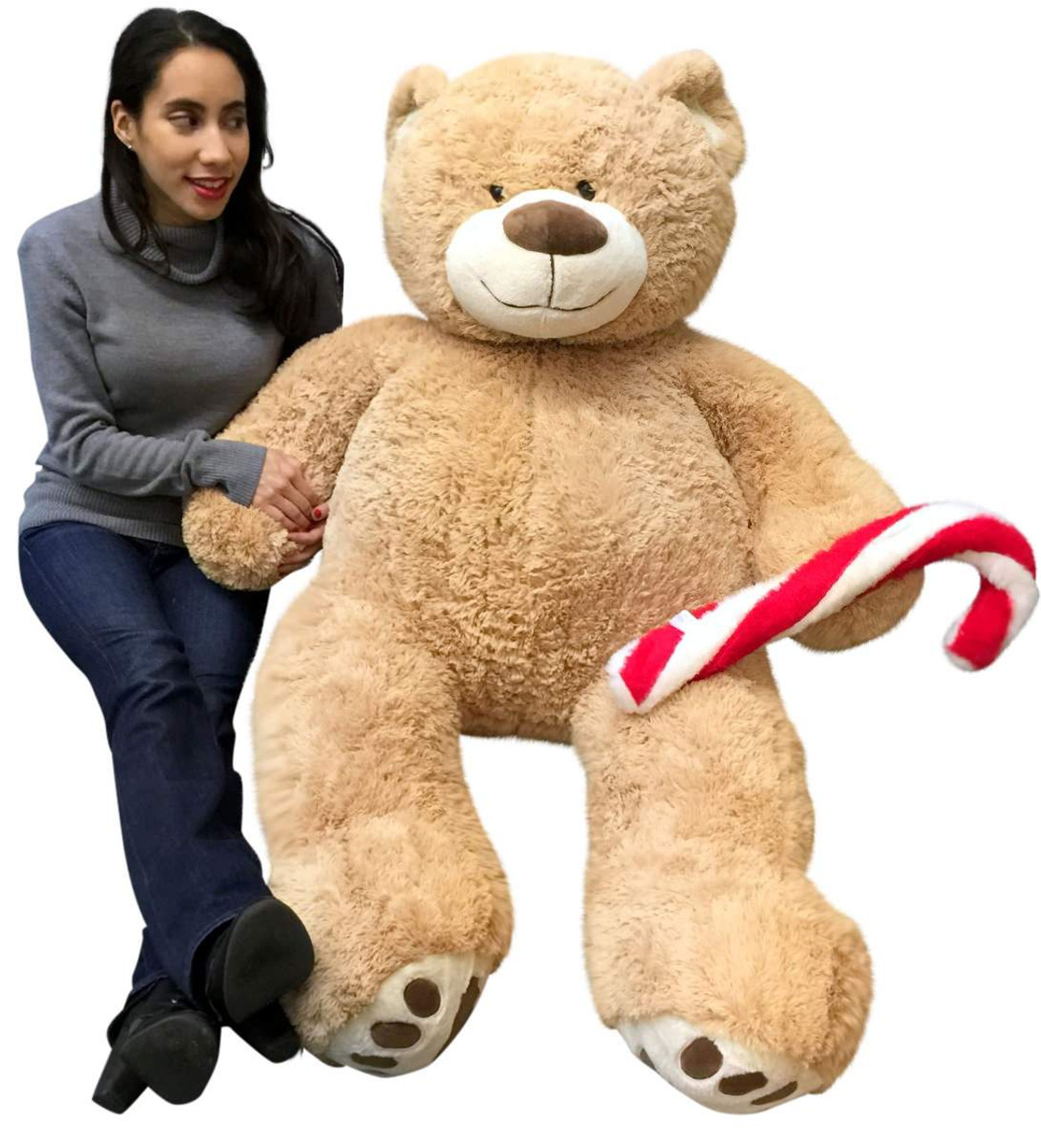 Man Tenir Ours Gros Nounours En Peluche Comme Un Cadeau À Sa Petite Amie  Pour La Fête D'anniversaire Sur Fond Gris Banque D'Images et Photos Libres  De Droits. Image 56606067