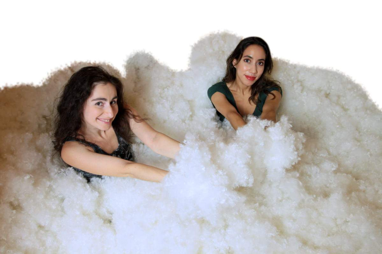 Big Plush 10 Pounds Premium Polyester Fiber Fill White Fiberfill Stuffing,  Moderately Dense and Heavy Blend of American Poly Filling Made in the USA