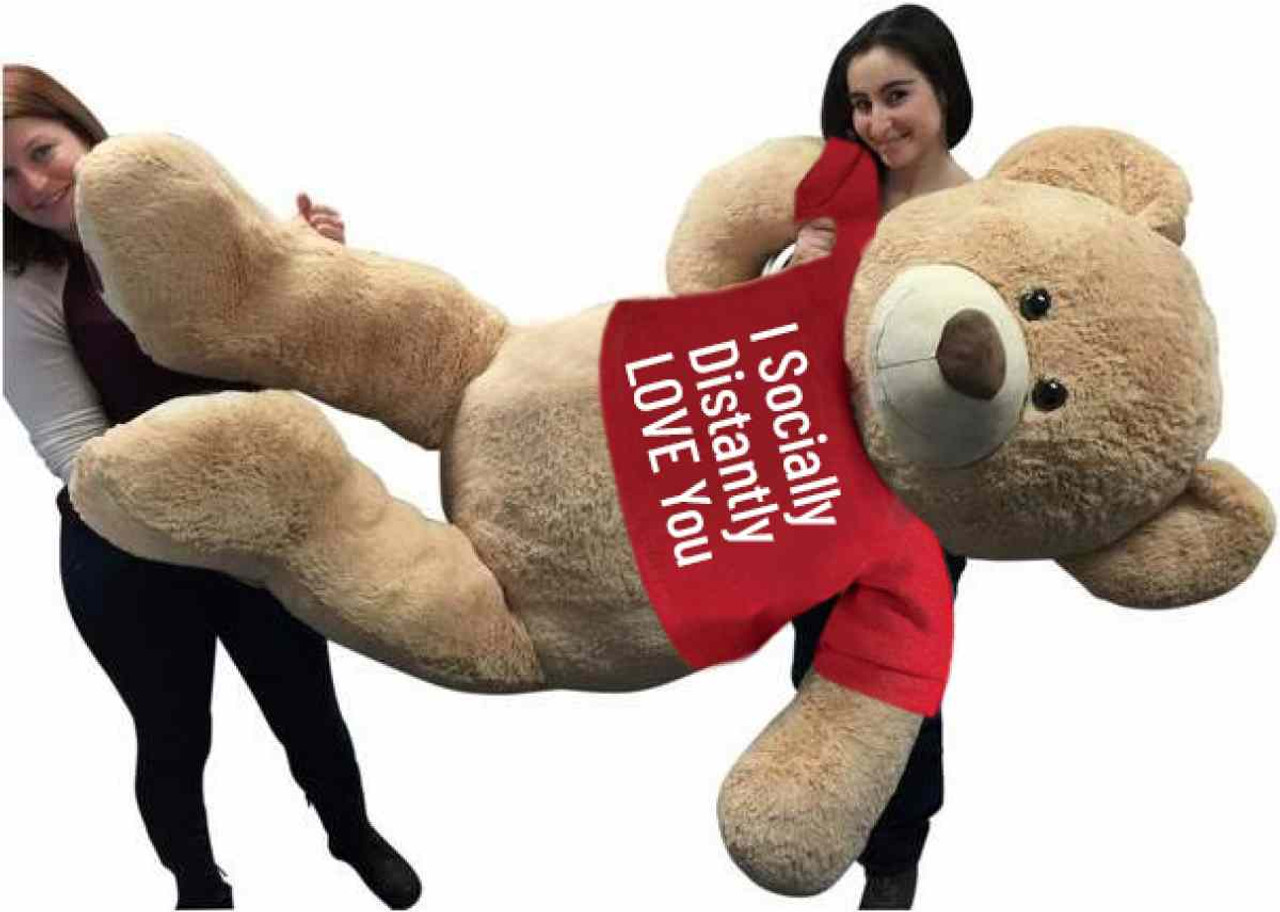 i want a big teddy bear