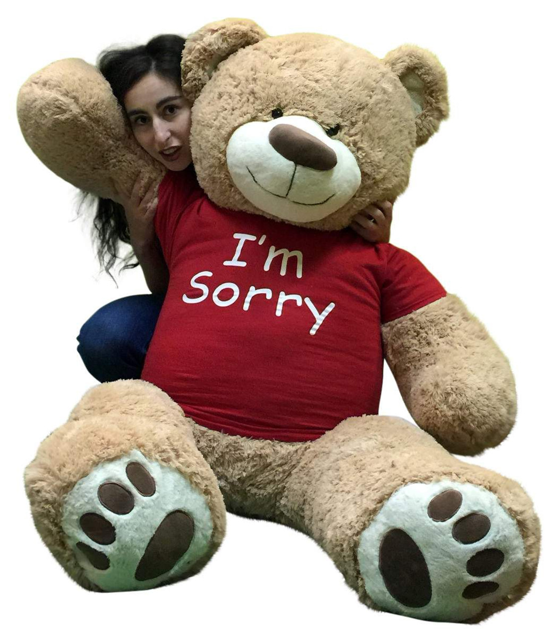 teddy bear saying sorry