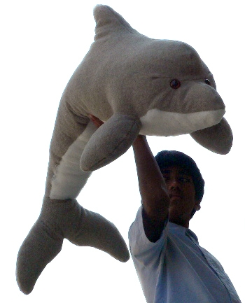 giant dolphin teddy