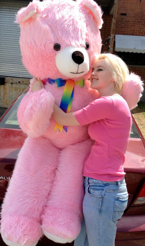 teddy pink colour