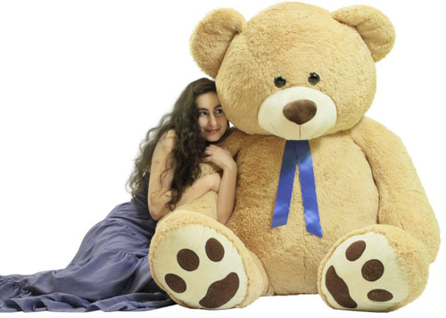 6 foot teddy