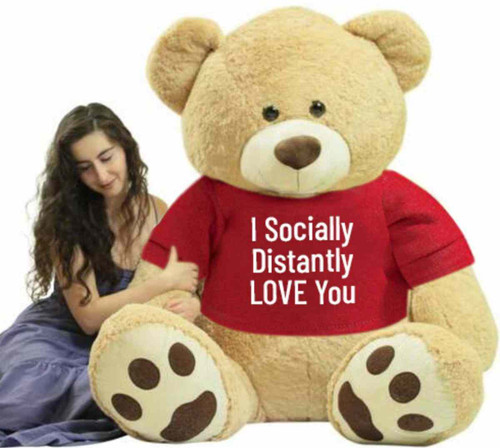 biggest teddy bear you can buy