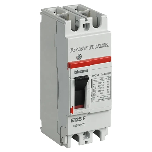 Interruptor Termomagnético EASYTIKER 2P 75A T603275 Bticino