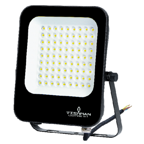 Reflector Led IP65 100W 100/240V TLFLD10065 Tishman