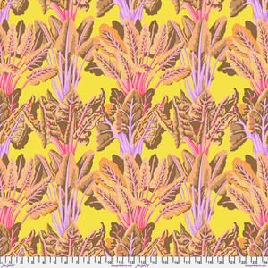 Chard - Yellow Chard - Yellow