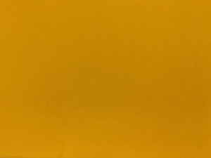 Plain Yellow