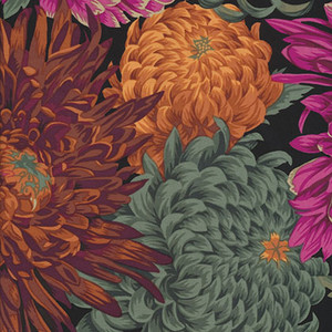Japanese Chrysanthemum
Philip Jacobs
Colour: red Japanese Chrysanthemum
Philip Jacobs
Colour: red