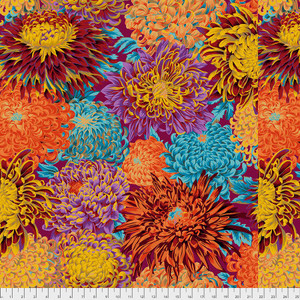 Japanese Chrysanthemum - Autumn
Philip Jacobs Japanese Chrysanthemum - Autumn
Philip Jacobs