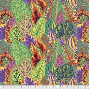 Coleus - Gold Coleus - Gold