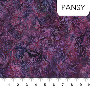 Pansy Pansy