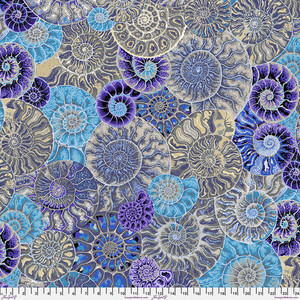 Ammonites - Blue Ammonites - Blue