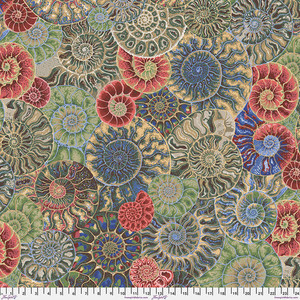 Ammonites - Neutral Ammonites - Neutral