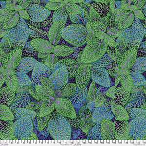 Fittonia - Green Fittonia - Green