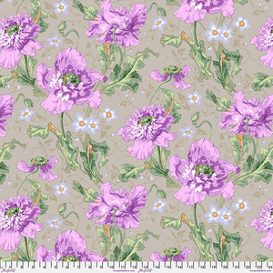 Papaver - Grey Papaver - Grey