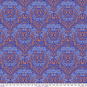 Michaelmas Daisy - Cobalt Michaelmas Daisy - Cobalt