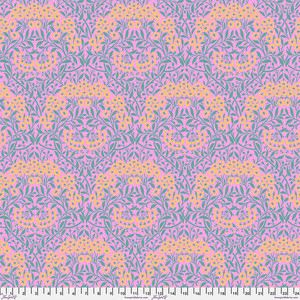 Michaelmas Daisy - Pink Michaelmas Daisy - Pink