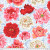 Backing Fabric -  Brocade Poeny Natural  3 yard ( 108") piece